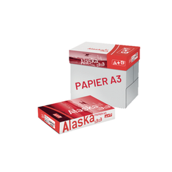 CARTON 5 RAMETTES 500 FEUILLES A+B ALASKA 33 A3 80G BLANC