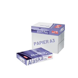 CARTON 5 RAMETTES 500 FEUILLES A+B ALASKA 75 A3 75G BLANC