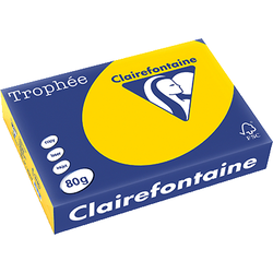 RAMETTE 500 FEUILLES CLAIREFONTAINE TROPHEE PASTEL A3 80G BOUTON D'OR 1255
