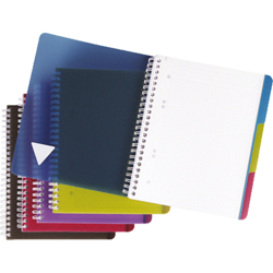 CAHIER EVOLUTIV BOOK INTENSIVE LINICOLOR CLAIREFONTAINE A4+ QUADRILLE 5X5MM 240 PAGES 90G