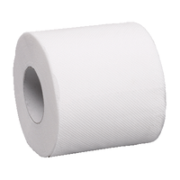 Pack de 4 rouleaux papier toilette KAMPA - Norauto